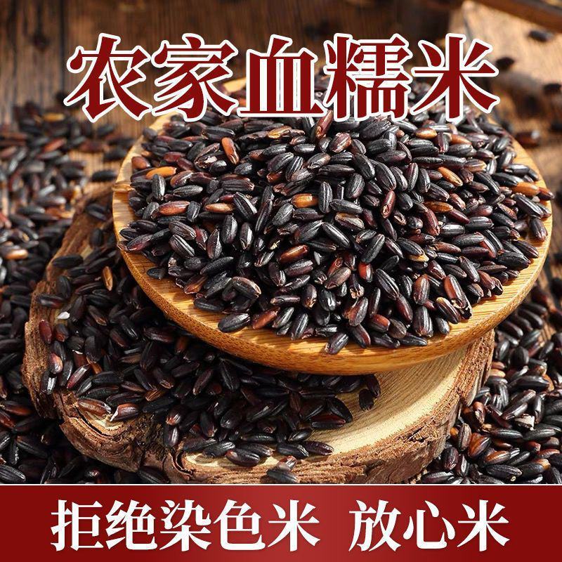 东北黑糯米血糯米农家自种黑米粥粽子饭团当季新米粗杂粮自产