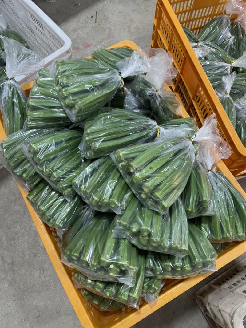 现摘水果秋葵，可供应电商和平台以及商超