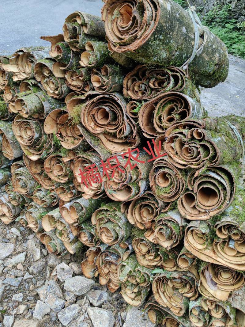 川厚朴鲜皮产地直供各种规格都可生产欢迎药厂及药商洽谈合作