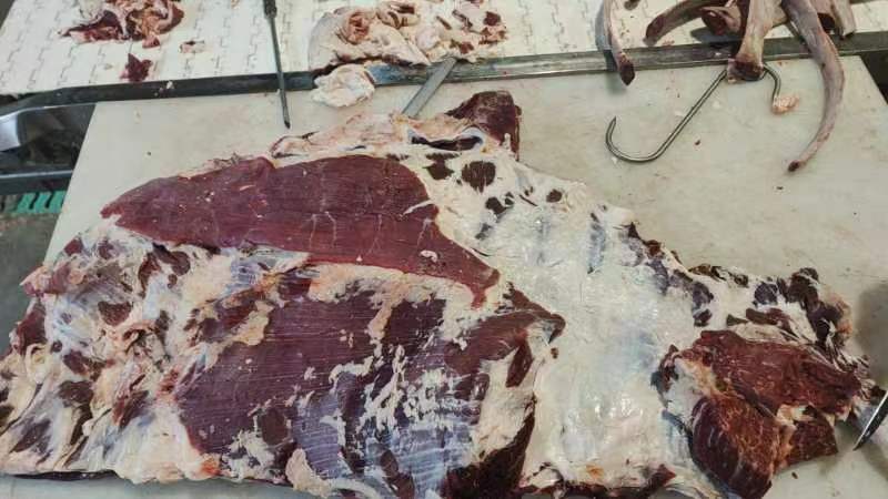 精品牛腩块牛胸肉前后腱子肉