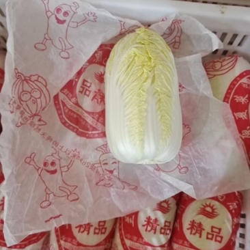 精品蔬菜