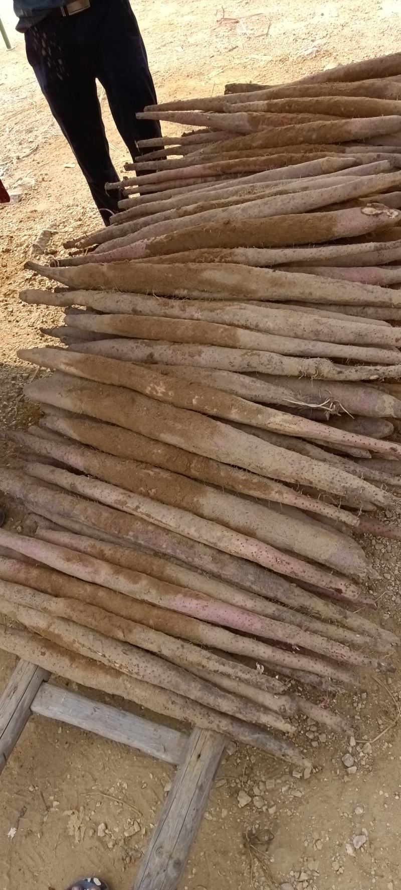 小叶淮山，淀粉量高，颜色好条形好有卖相。