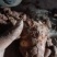 野生白肉土茯苓