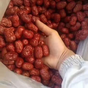 新疆一级灰枣，个大饱满，现货批发，全国发货