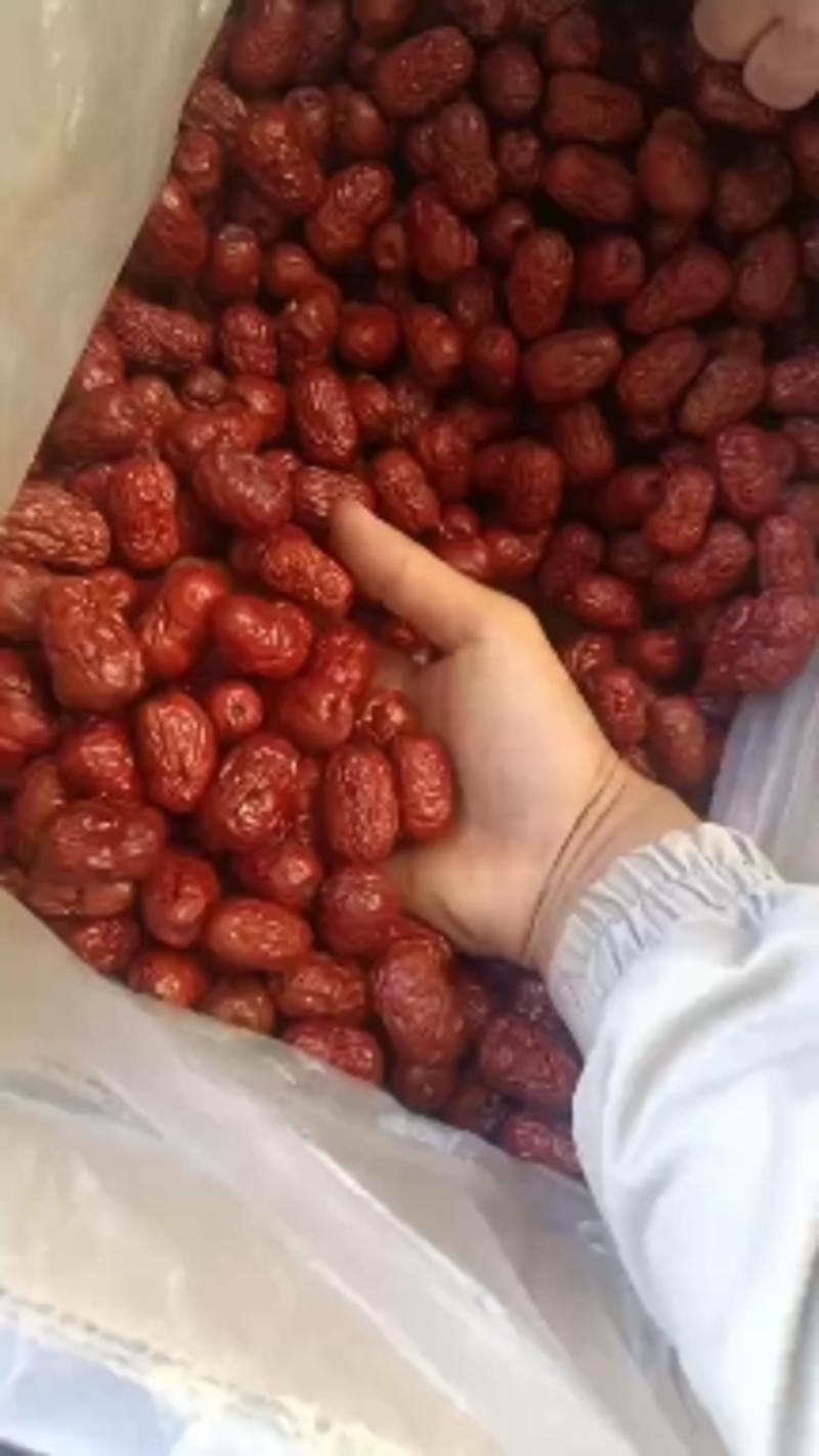 新疆一级灰枣，个大饱满，现货批发，全国发货