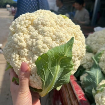 菜花