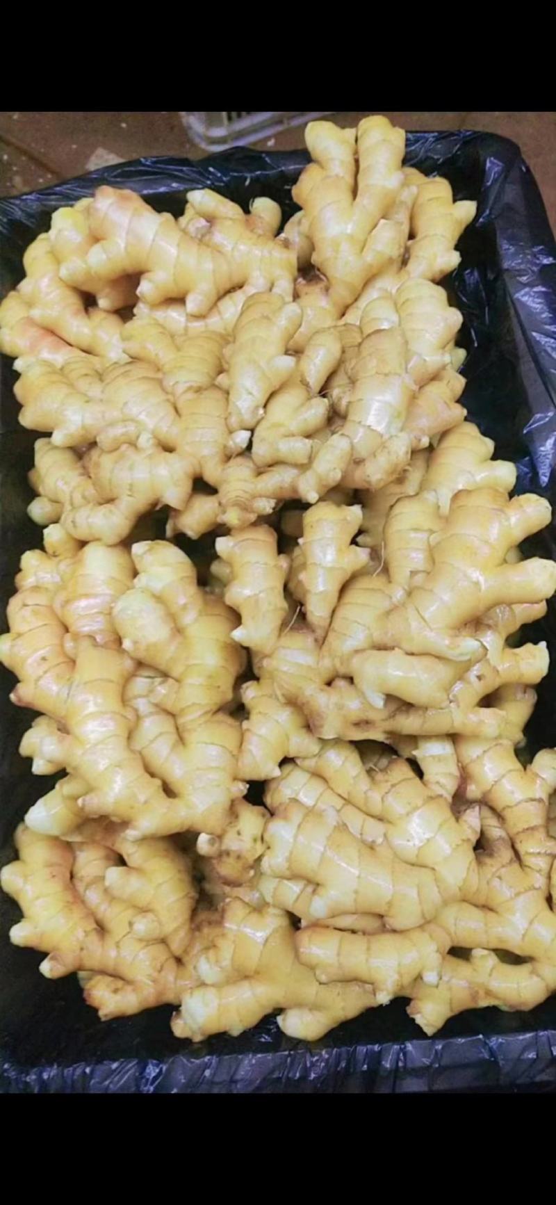 大黄姜精品山东大姜承接商超社团电商供货代发全国