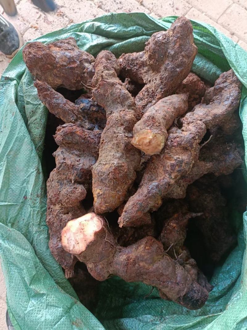 云南边境土茯苓，大条老身回甘，新货上市。