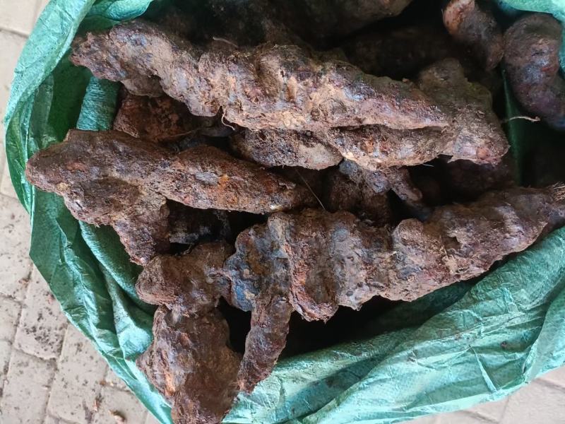 云南边境土茯苓，大条老身回甘，新货上市。