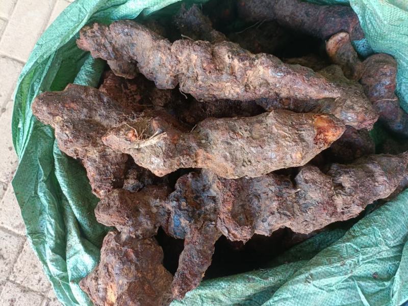云南边境土茯苓，大条老身回甘，新货上市。