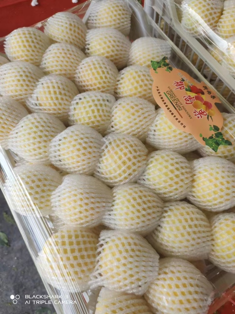 【蟠桃黄桃油桃】大量上市品种齐全全国发货支持一件代发