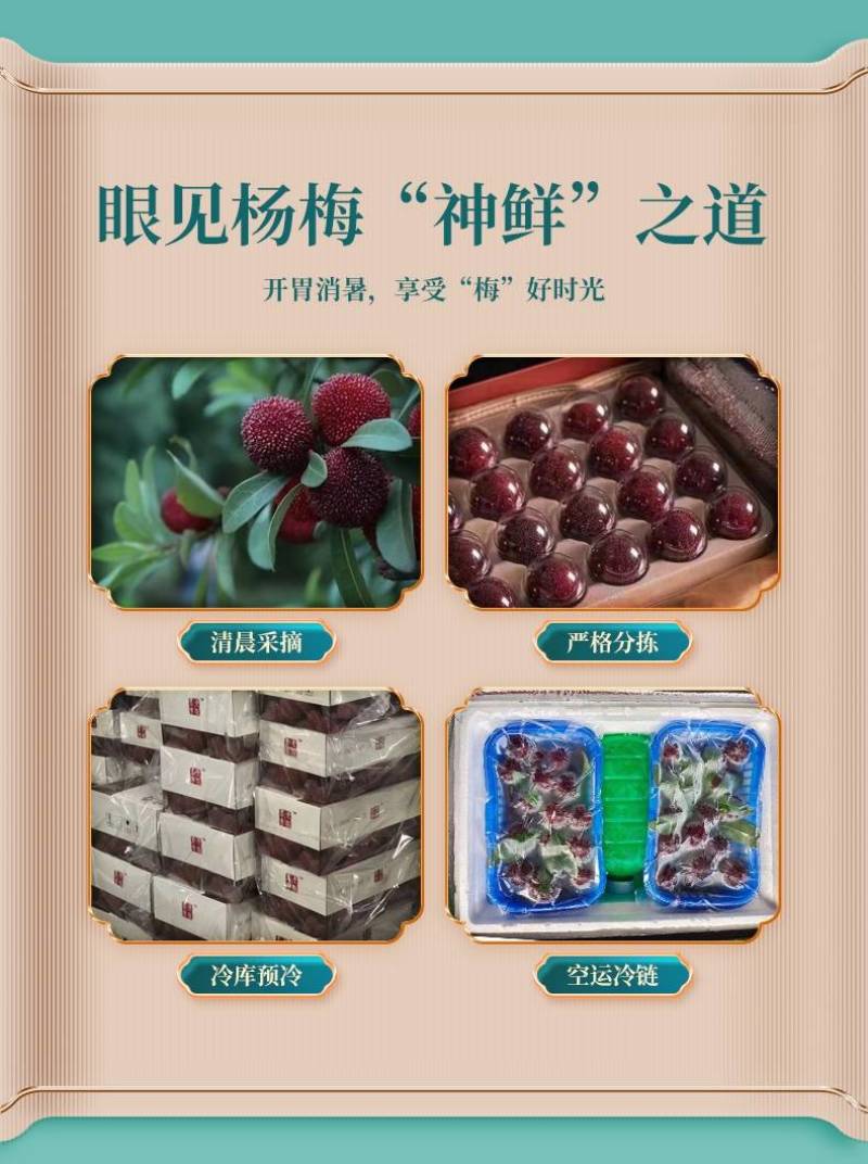仙居东魁杨梅