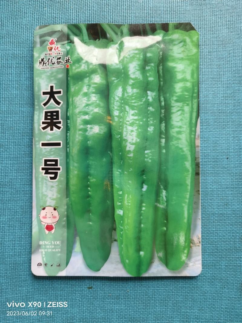 大将军辣椒种子抗病产量高大果耐低温耐湿上部果也不小