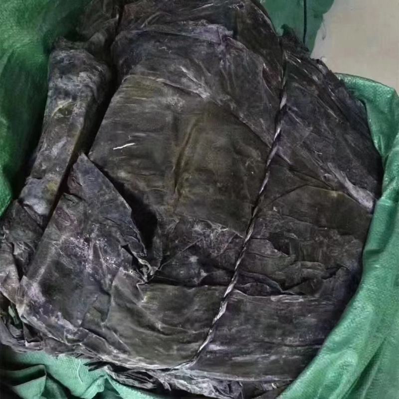 海带。宽叶海带炖着吃，凉拌都可以。江湖地摊开展销会产品