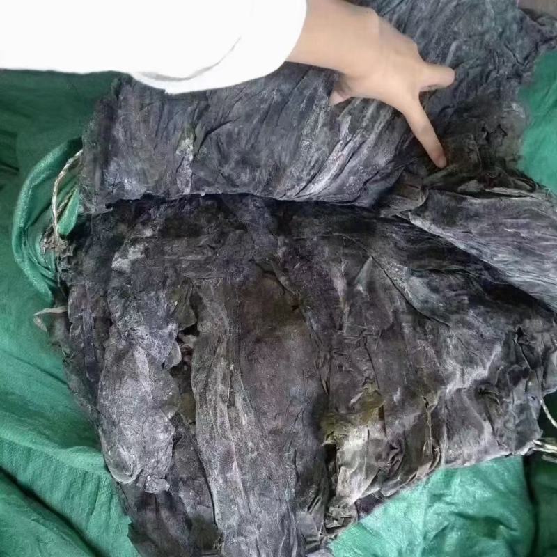 海带。宽叶海带炖着吃，凉拌都可以。江湖地摊开展销会产品