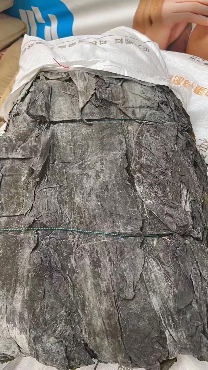 海带。宽叶海带炖着吃，凉拌都可以。江湖地摊开展销会产品