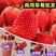 云南会泽酸甜孕妇水果商用草莓烘焙奶茶蛋糕糖葫芦专用草莓