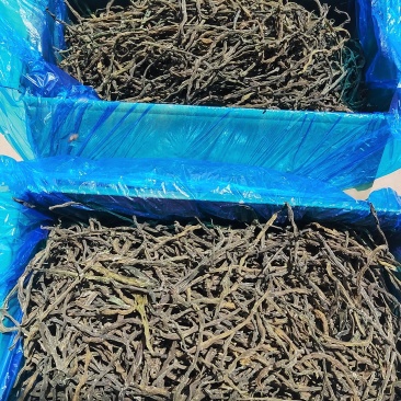 脱水架豆王