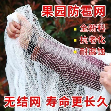 果园防雹网植物防雹网大棚防冰雹网全新料厂家直供