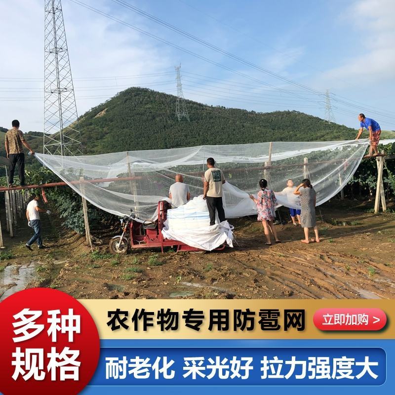 果园防雹网植物防雹网大棚防冰雹网全新料厂家直供