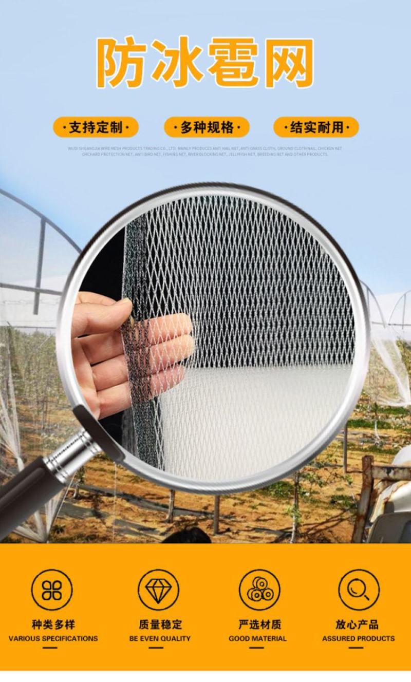 果园防雹网植物防雹网大棚防冰雹网全新料厂家直供