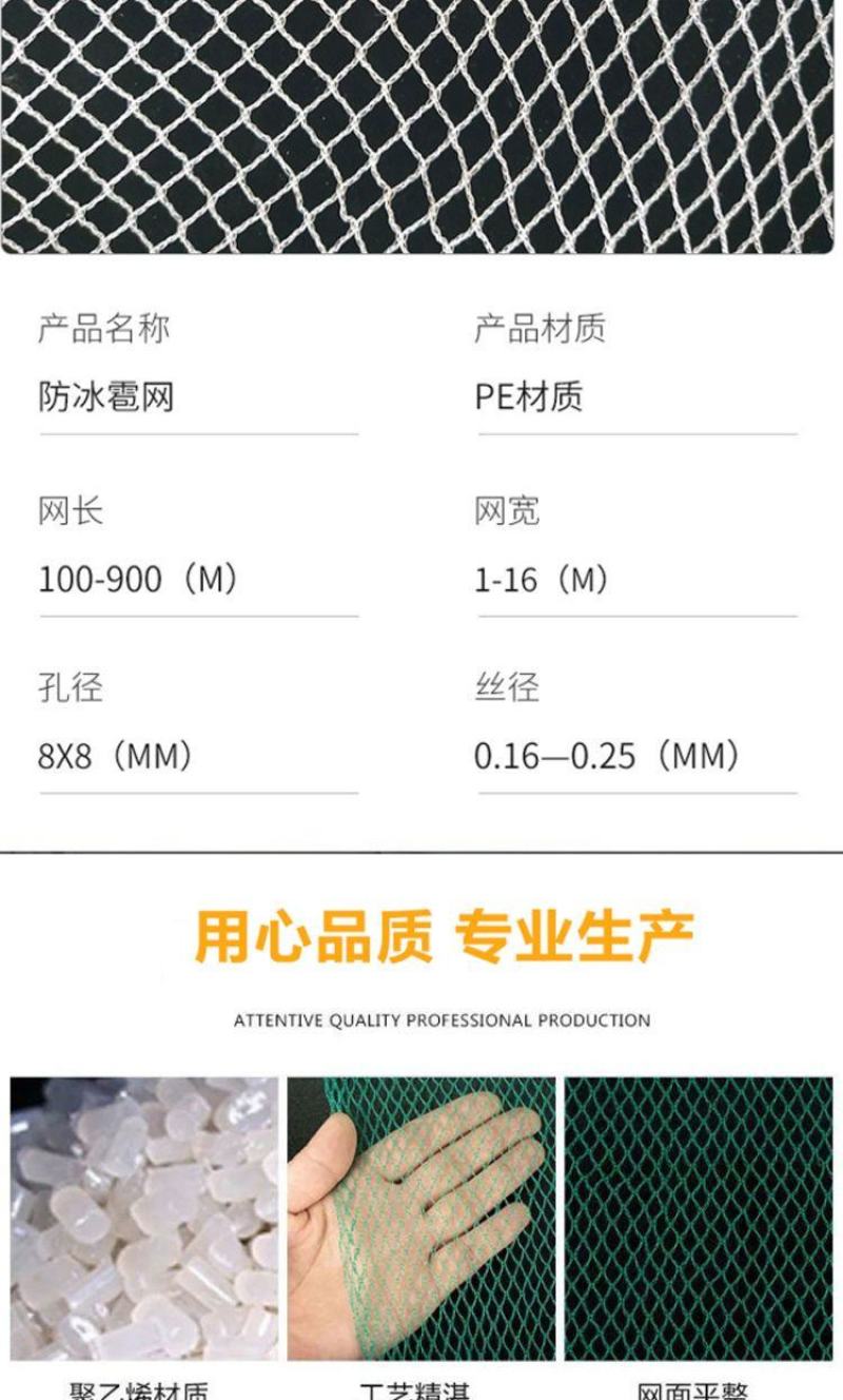 果园防雹网植物防雹网大棚防冰雹网全新料厂家直供