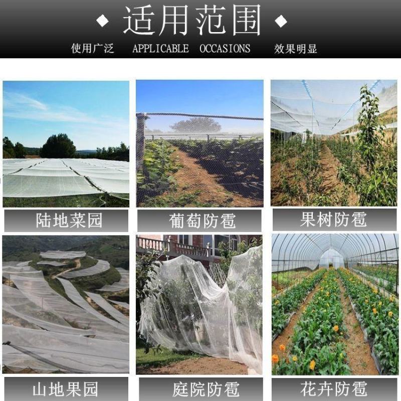 果园防雹网植物防雹网大棚防冰雹网全新料厂家直供