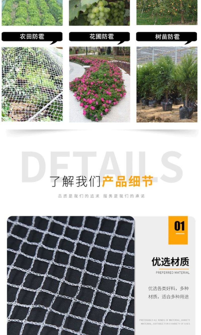 果园防雹网植物防雹网大棚防冰雹网全新料厂家直供