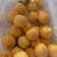 黄金蜜系列甜黄桃货源充足，品类齐全，价格透明诚信交易
