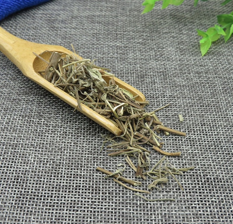 香薷产地山东振兴药材产地直发