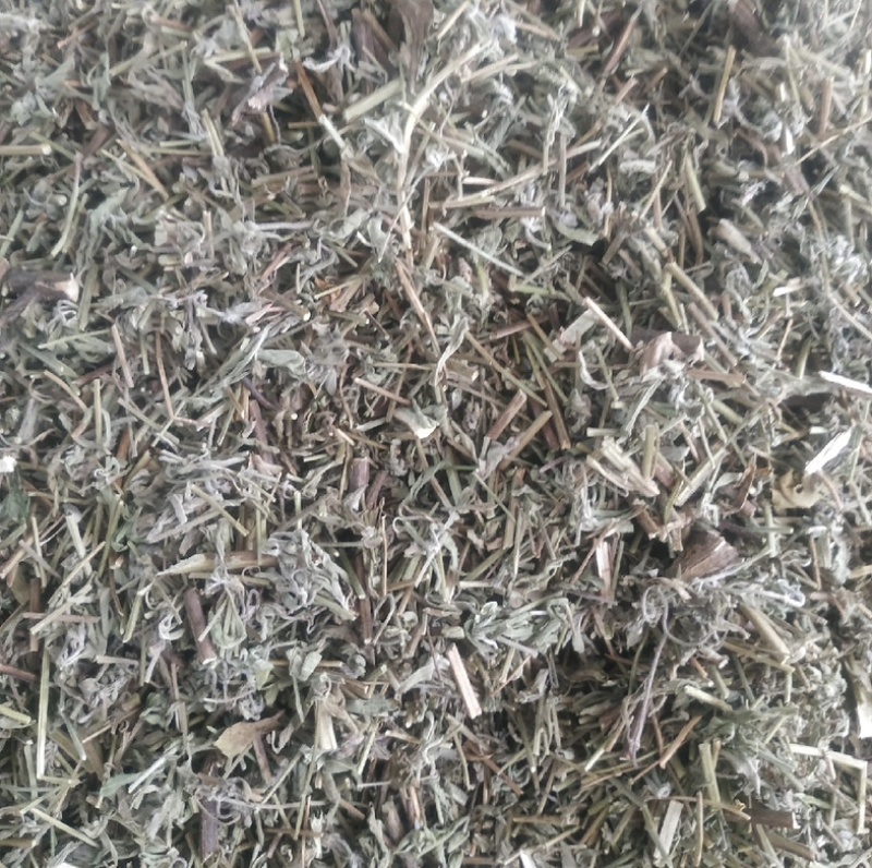 香薷产地山东振兴药材产地直发