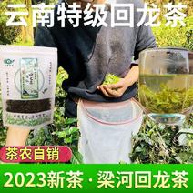 梁河回龙茶春季滇绿茶一芽一叶高香2023绿茶茶叶明前