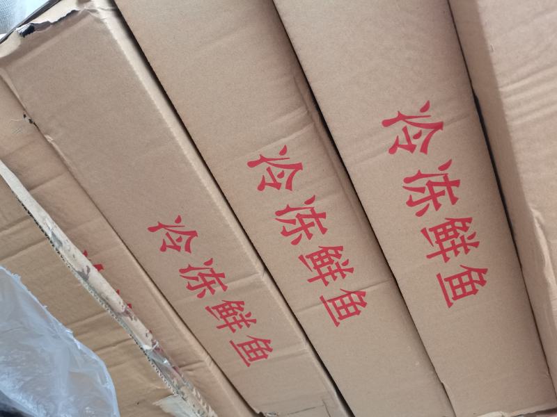 鲐鲅鱼，新鲜速冻，饭店食堂批发