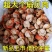 扇贝肉特大号新鲜速冻扇贝肉各大带黄黄无沙批发20，40规