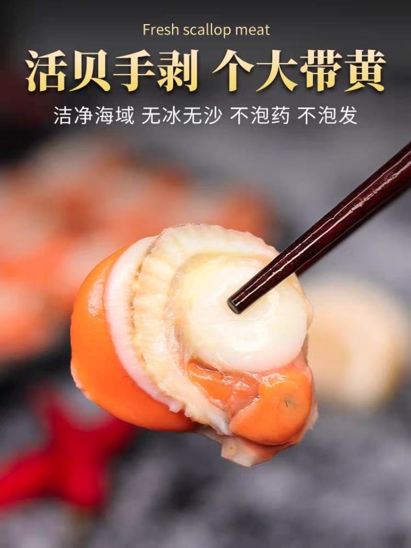 扇贝肉特大号新鲜速冻扇贝肉各大带黄黄无沙批发20，40规