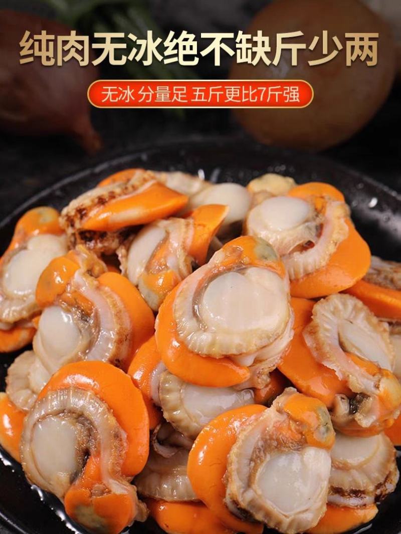扇贝肉特大号新鲜速冻扇贝肉各大带黄黄无沙批发20，40规
