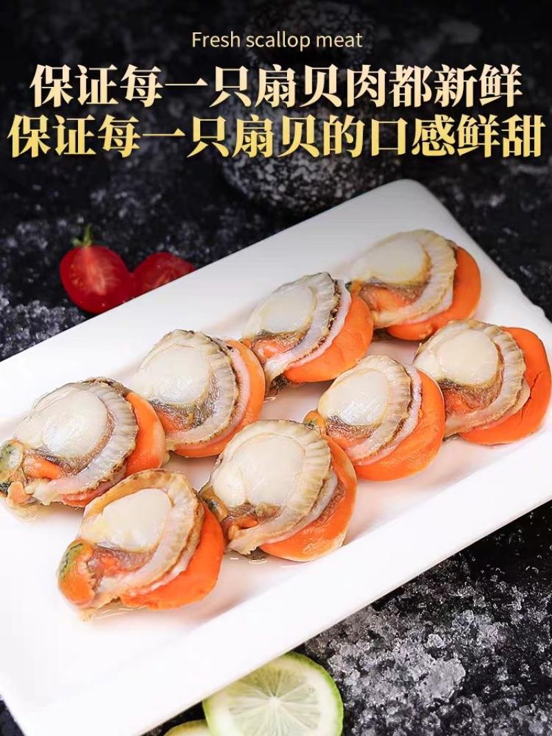 扇贝肉特大号新鲜速冻扇贝肉各大带黄黄无沙批发20，40规