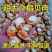 扇贝肉特大号新鲜速冻扇贝肉各大带黄黄无沙批发20，40规