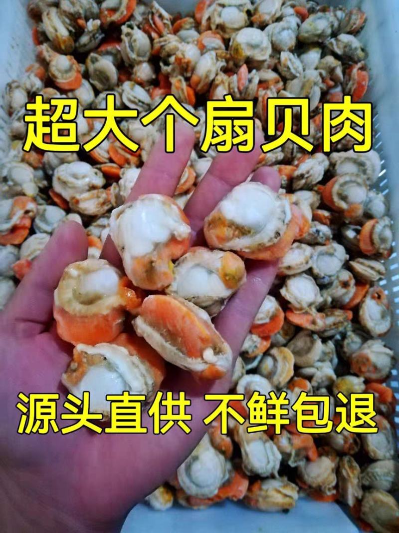 扇贝肉特大号新鲜速冻扇贝肉各大带黄黄无沙批发20，40规