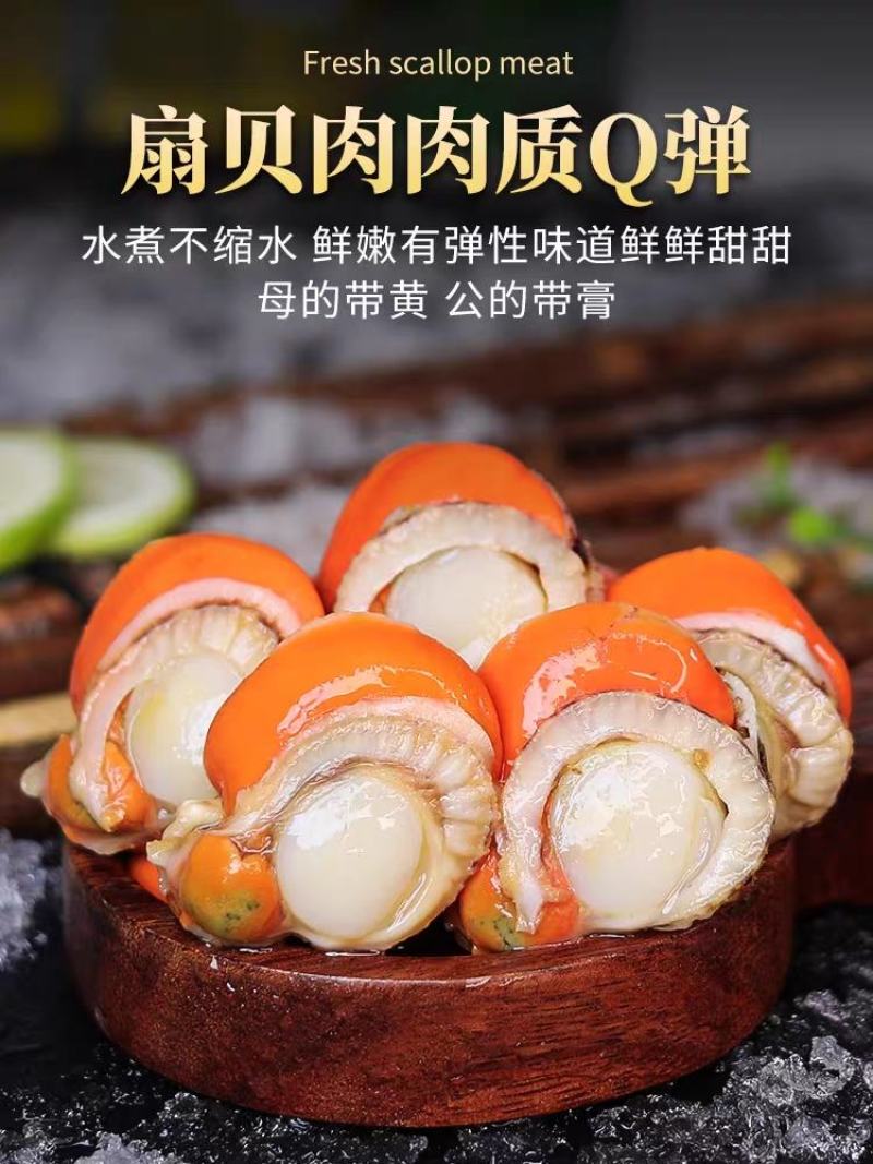 扇贝肉特大号新鲜速冻扇贝肉各大带黄黄无沙批发20，40规