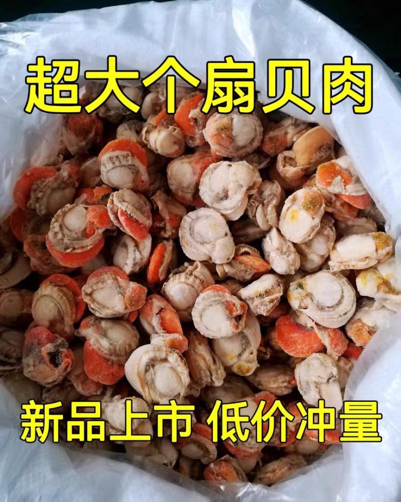 扇贝肉特大号新鲜速冻扇贝肉各大带黄黄无沙批发20，40规
