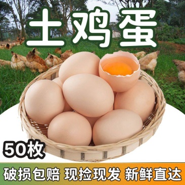 土鸡蛋农家散养鸡蛋
