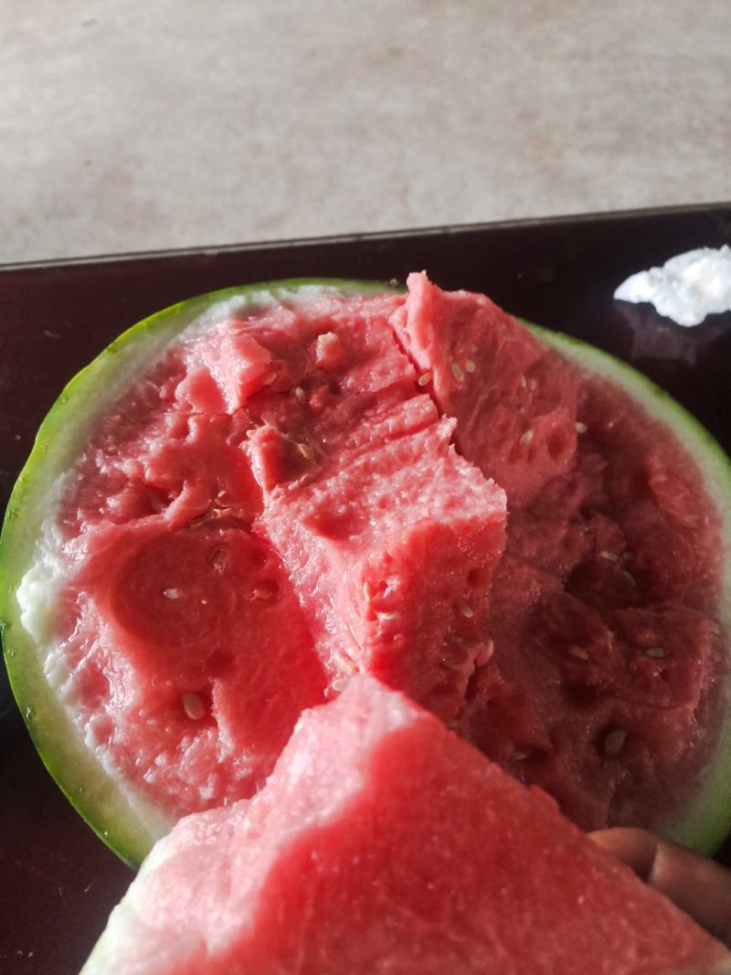 美都西瓜
