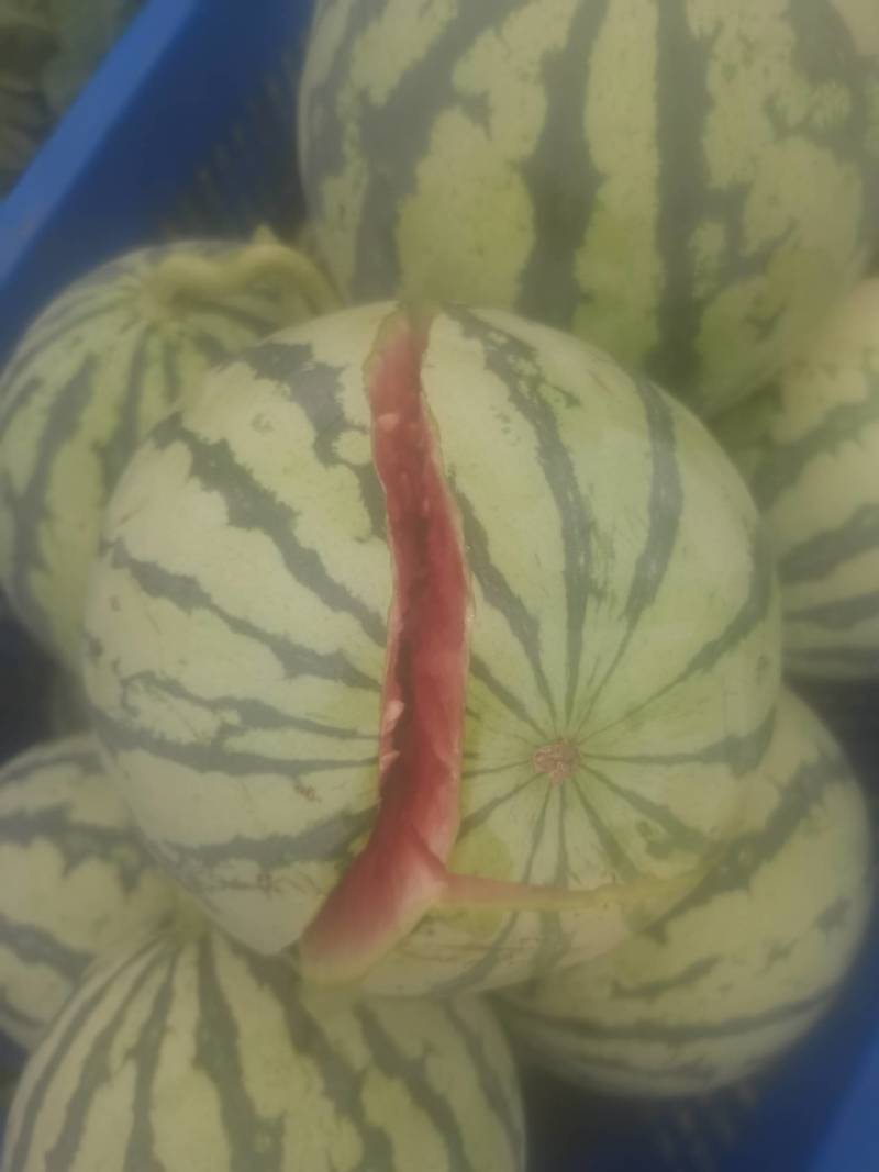 冰糖西瓜