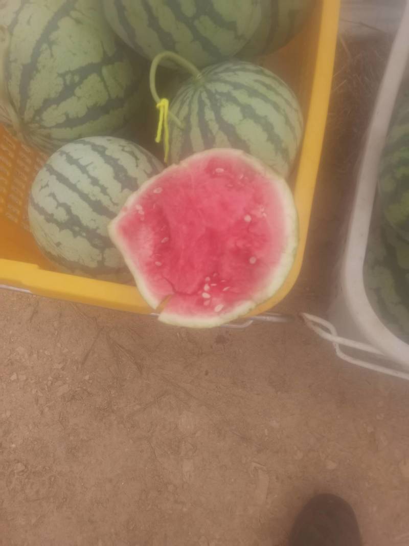 冰糖西瓜