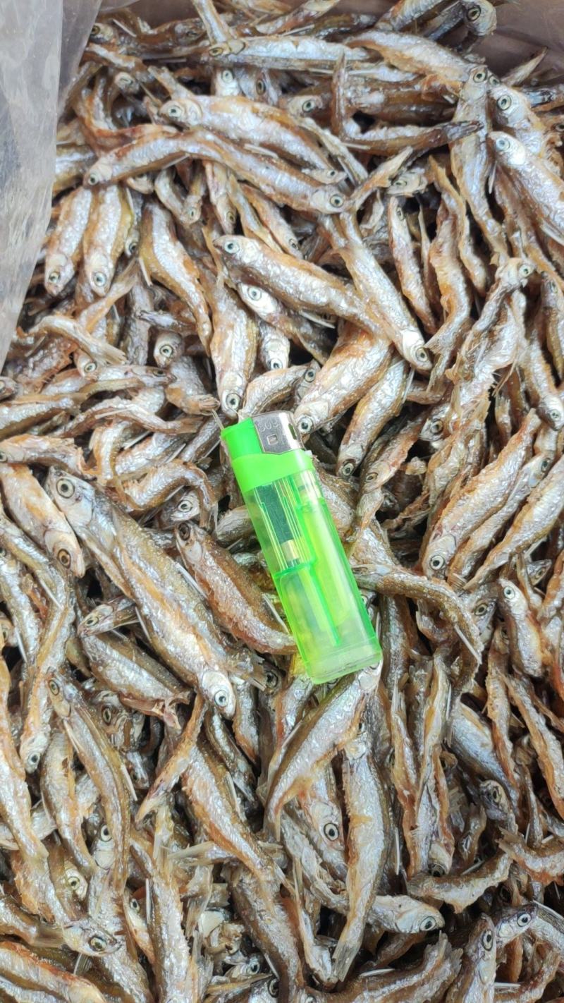油炸小鱼/开肚油炸鱼/油炸小白肖/开肚白肖