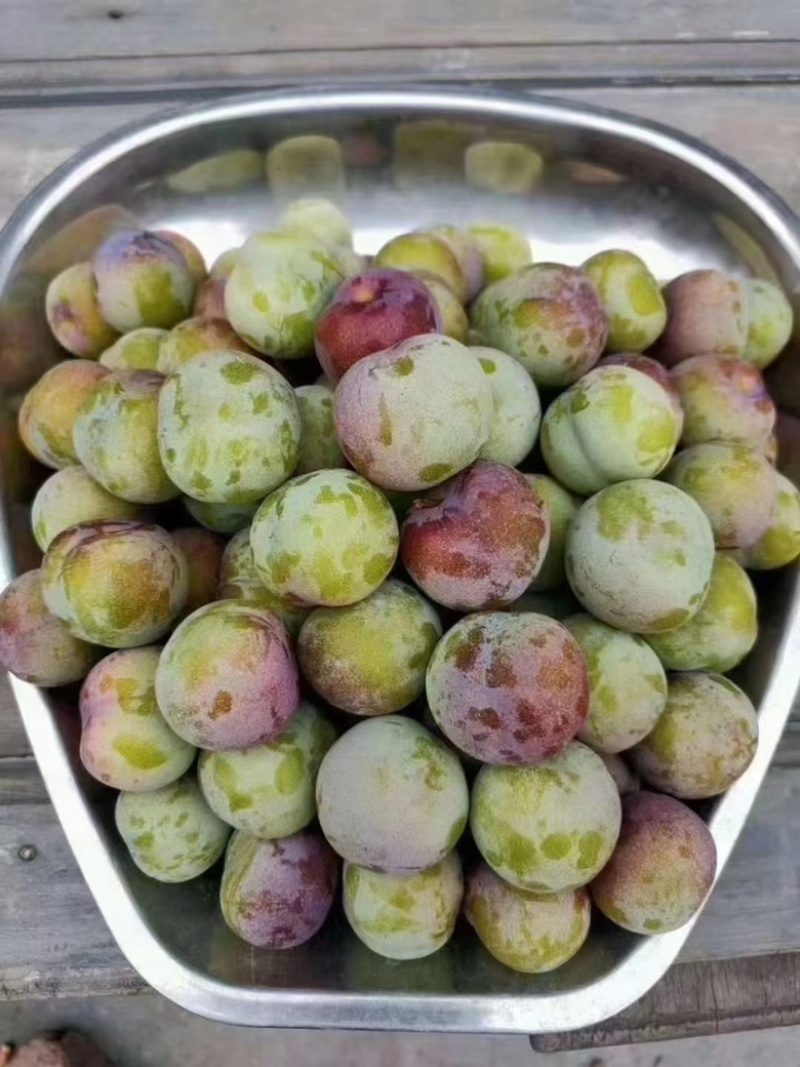绥江半边红李子
