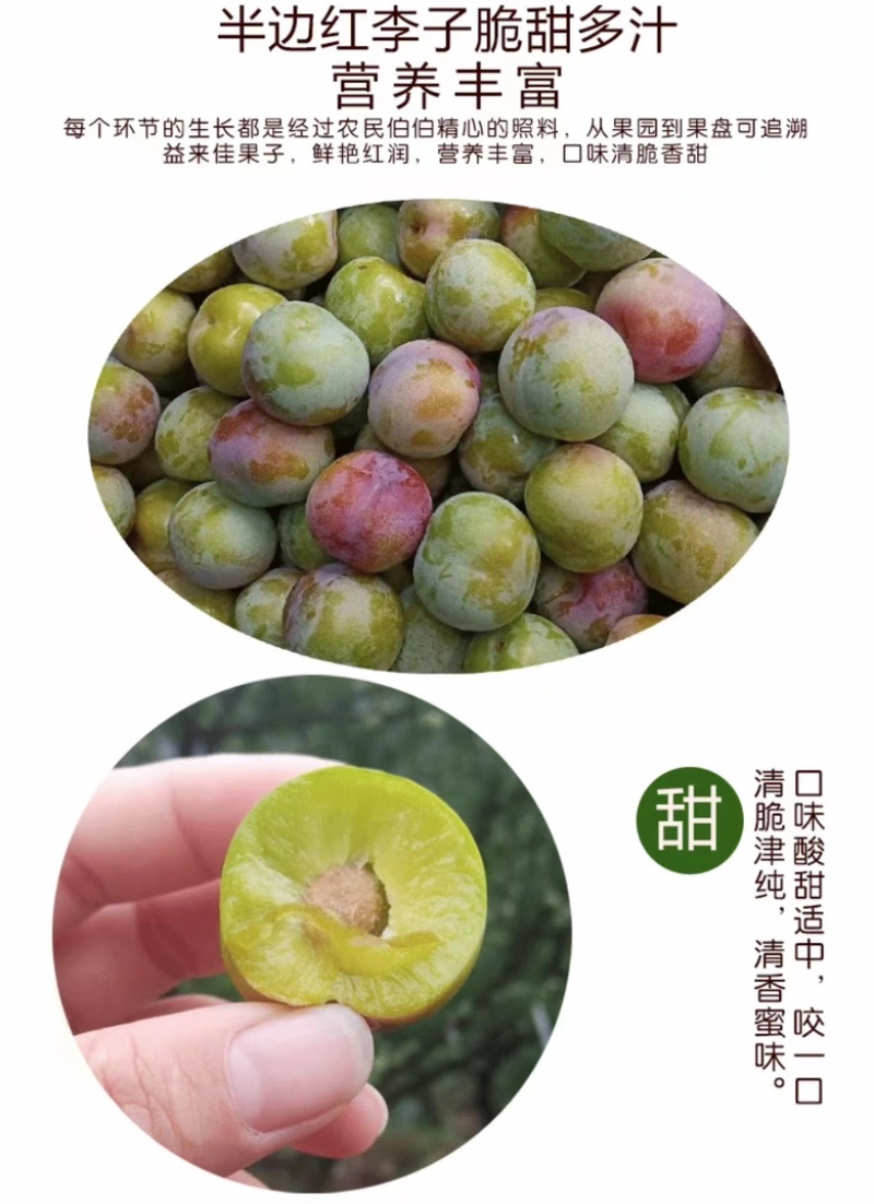 绥江半边红李子