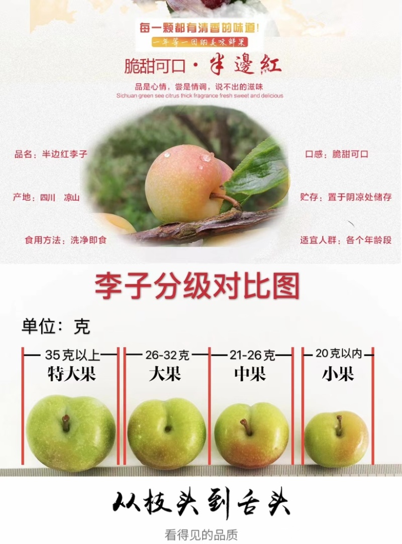 绥江半边红李子