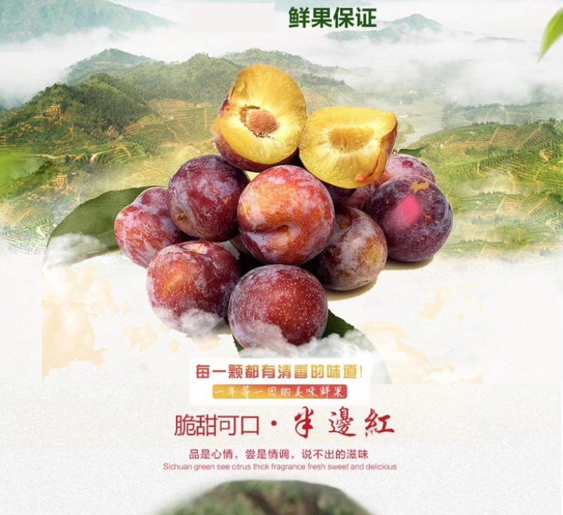绥江半边红李子